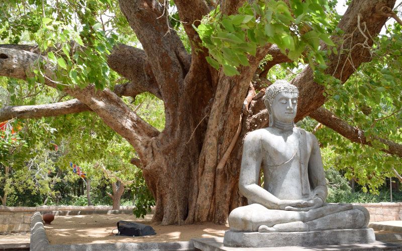 Boudha sous le soleil